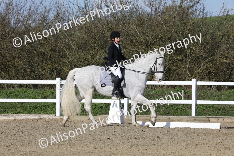 20260314-5123 - CT6 - Elementary 1