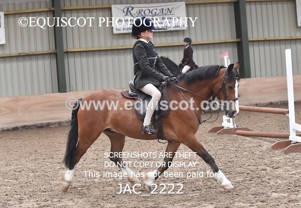 JAC_2222 - CLASS 2 Novice Working Hunter