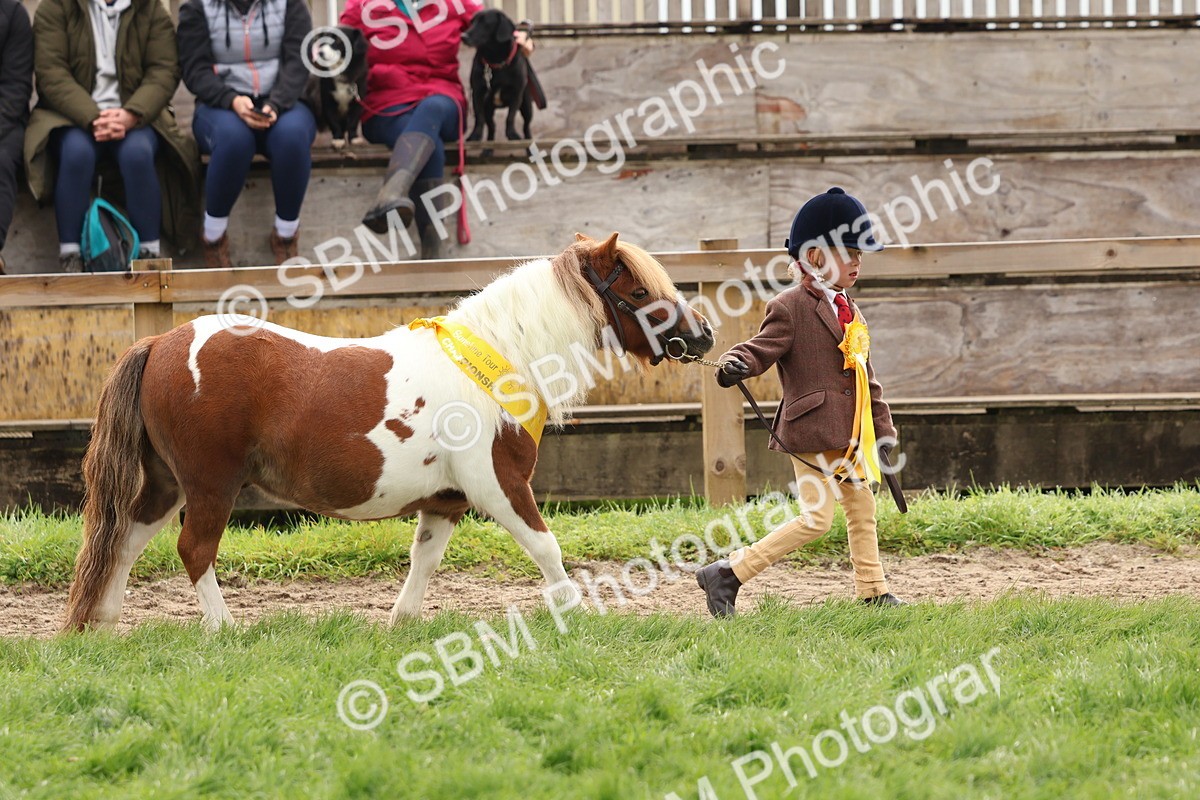 SBM_59739 - Start Supreme Championship