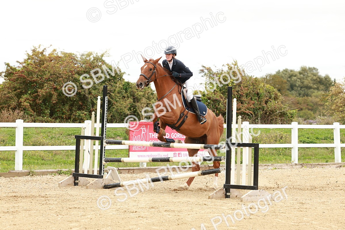 1I0A6972 - Class 2 - Senior British Novice