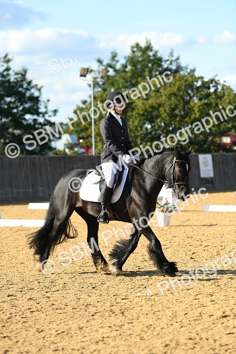 SBM_28442 - D16 - Small Tour Championship - Novice 28