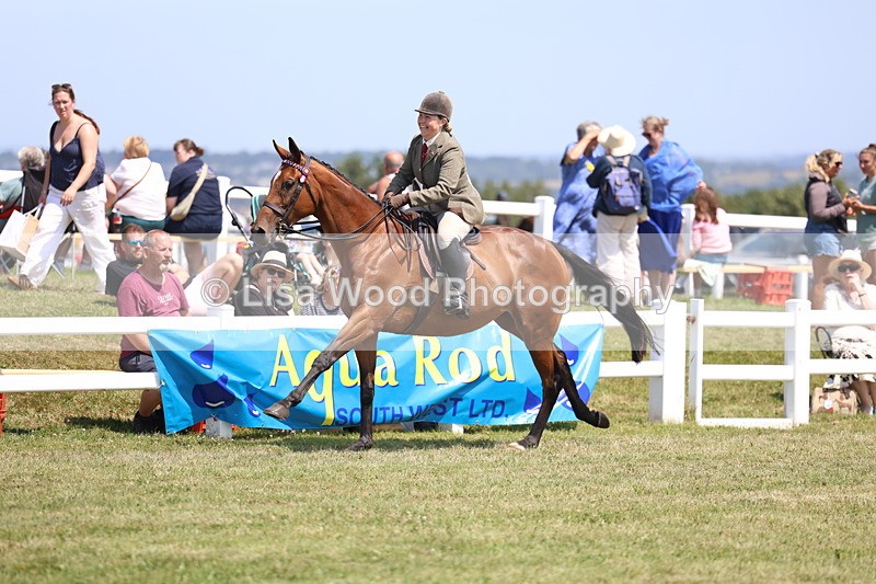 3E7A9367 - Class 12: Open Racehorse to Show Horse