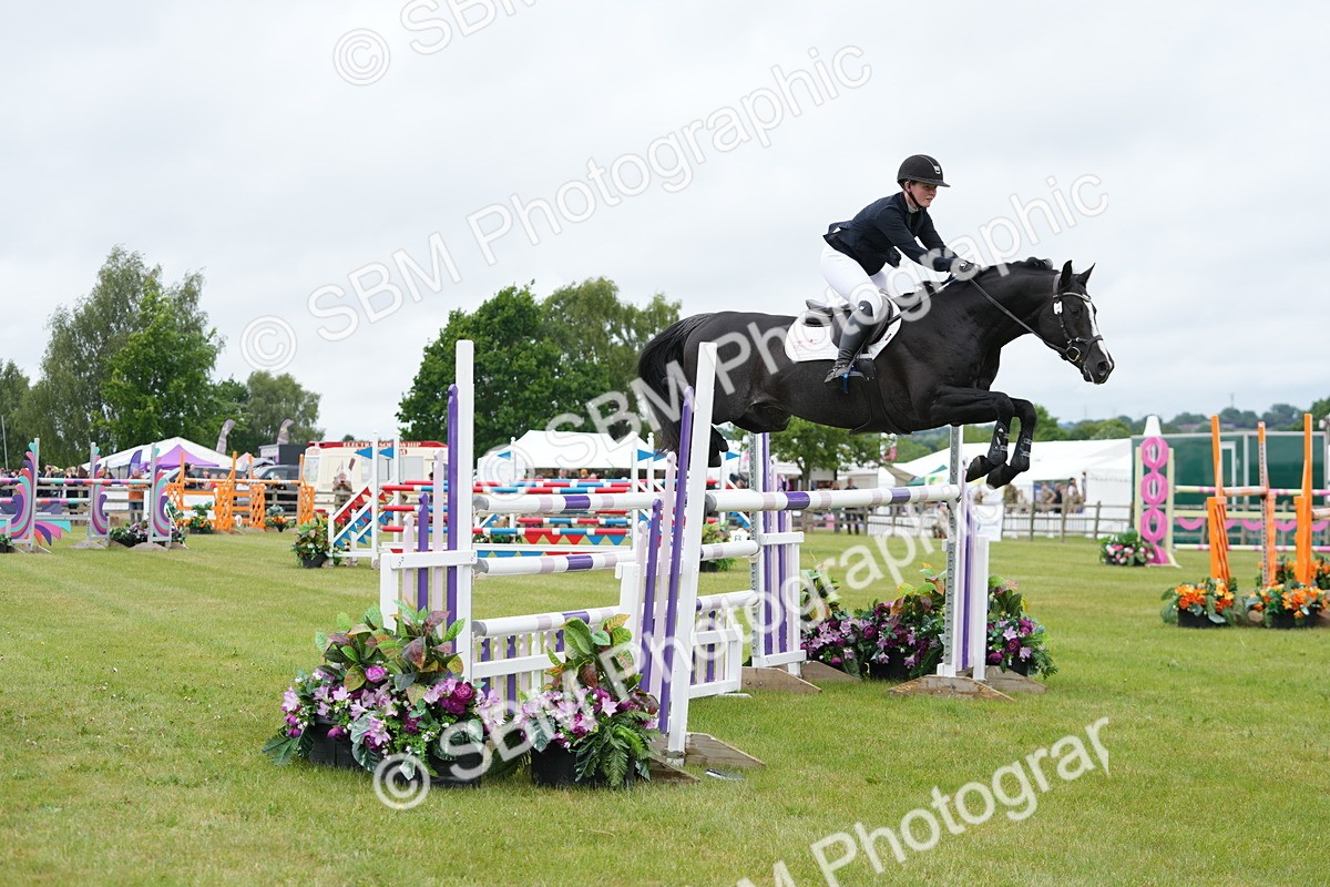 SBM_03309 - Class 201 - British Horse Feeds Speedi Beet Horse of the Year Show Grade  C