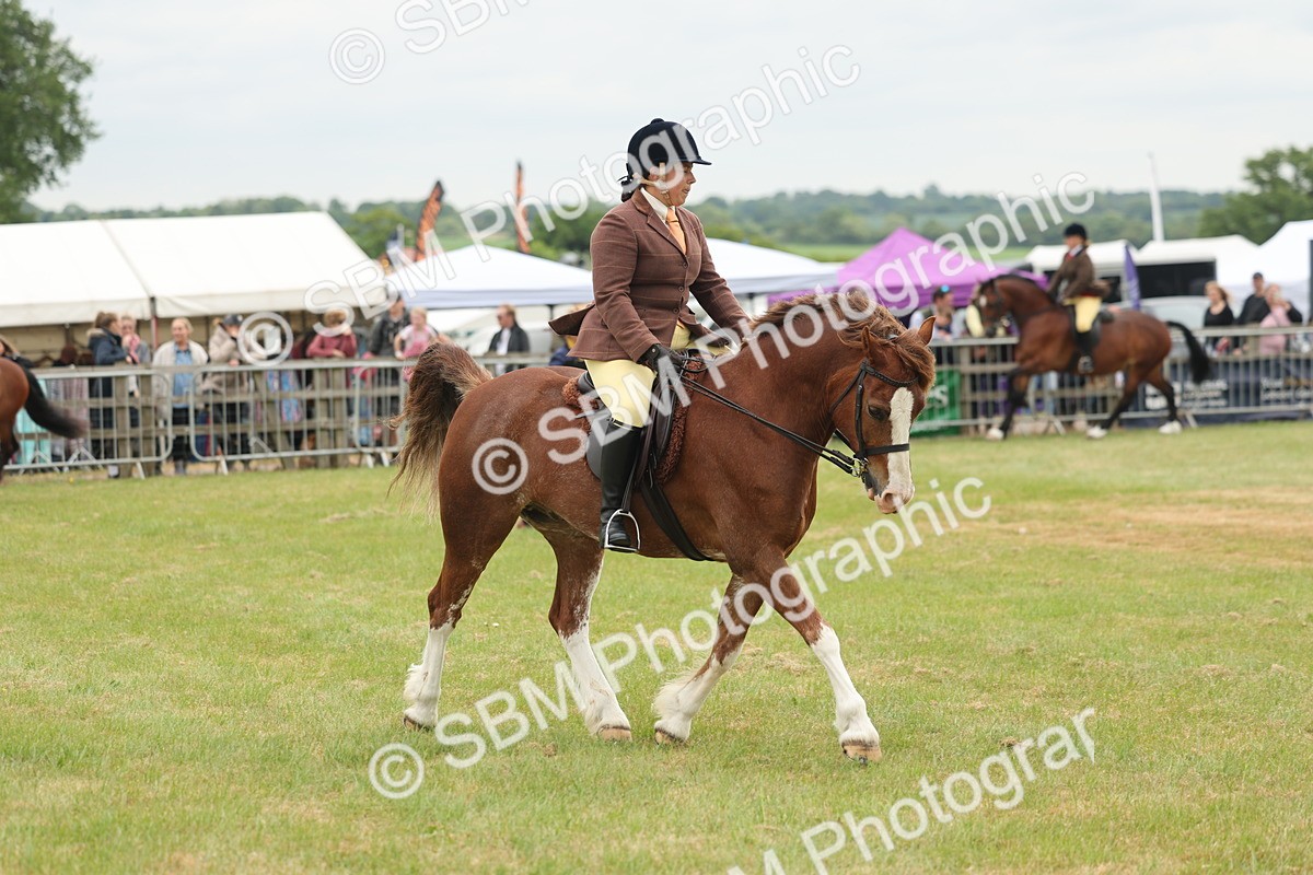 SBM_07205 - Class 76-77 - Ridden M&M Welsh Ponies