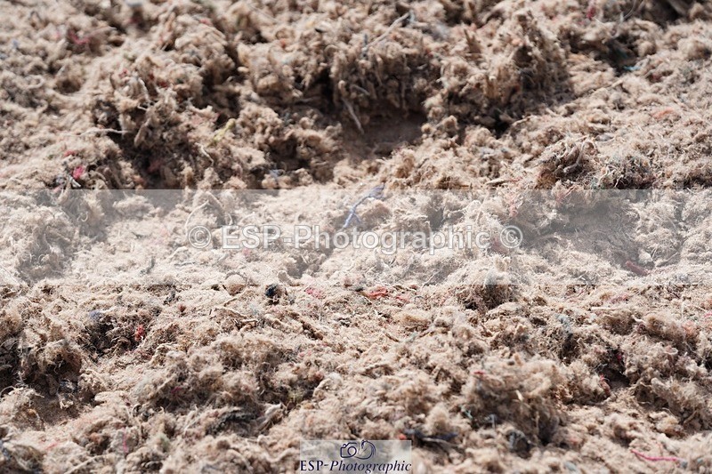 250505-093938-04133 - Cls 12 Stepping Stones