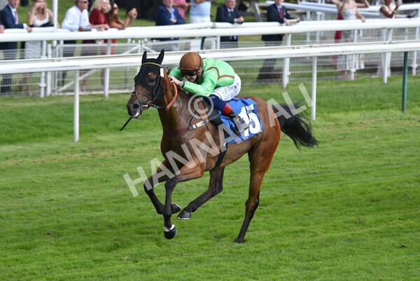 yr09072021r5-45 - Race 5: 4.20pm Garbutt + Elliott Stakes