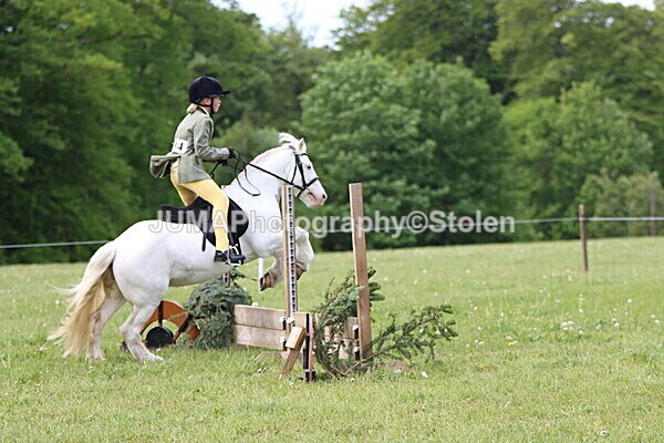 IMG_2550 - Working Hunter