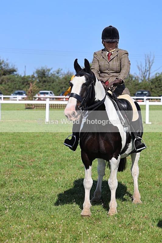IMG_1605 - Class 30: Ridden Native/Trad Coloured Pony