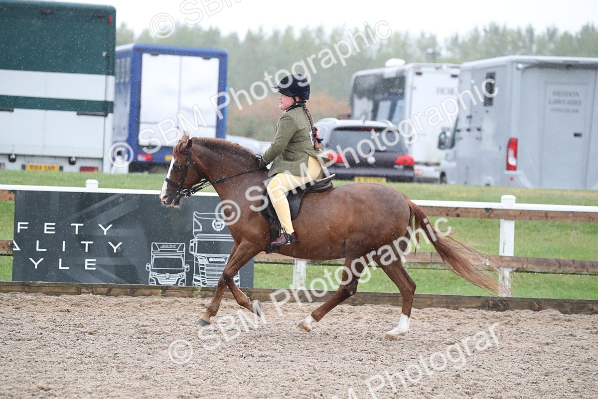 SBM_20452 - Class 601 - 2025 Area - Ridden Diamond