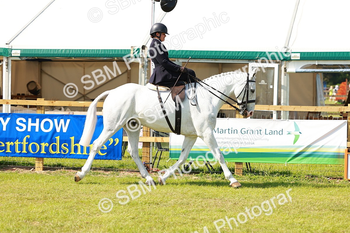 SBM_13108 - Class 70-71 - Side Saddle