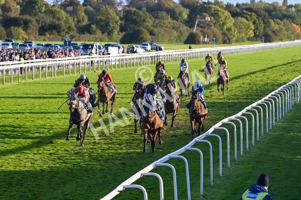 121024-Race 7-Two Brothers-3559 - Race 7 5.05pm Coral Committed To Safer Gambling Finale Handicap