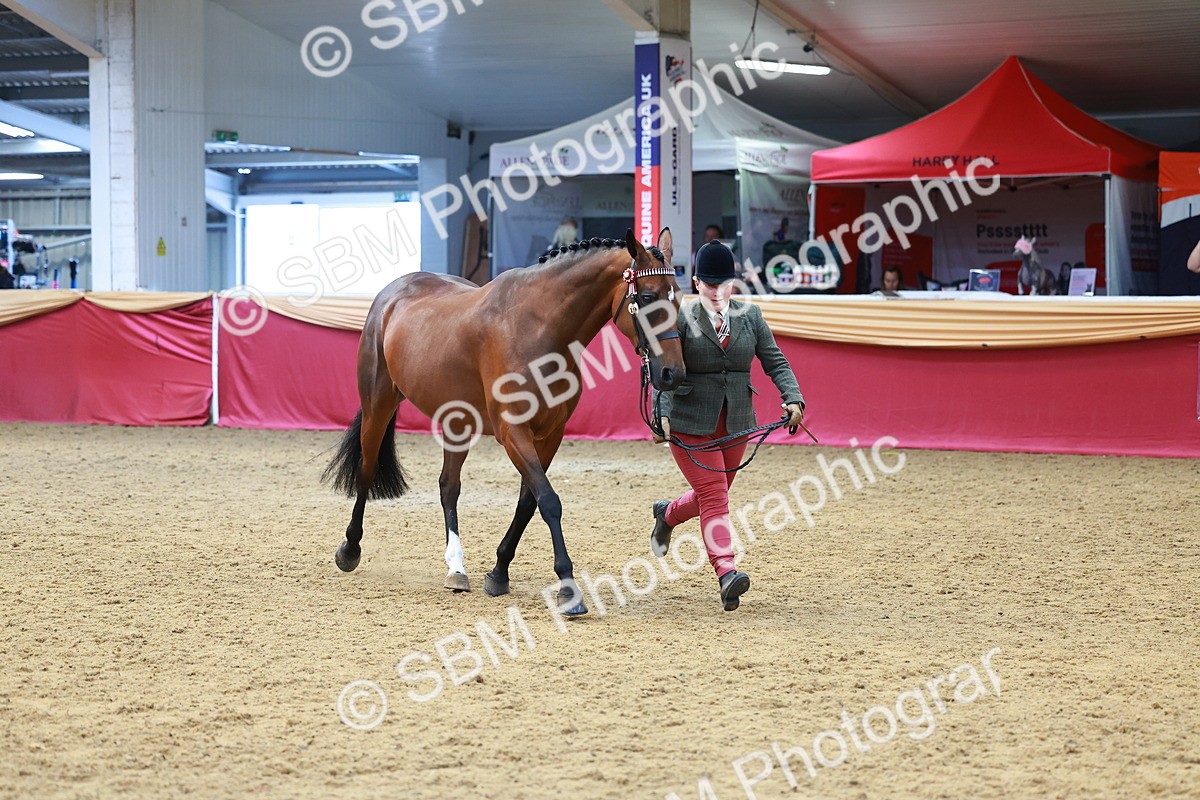 SBM_04121 - Class 9R - IH Pre-Vet