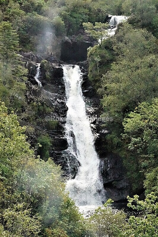 DSC07838 - SEPT 2020 STAYCATION