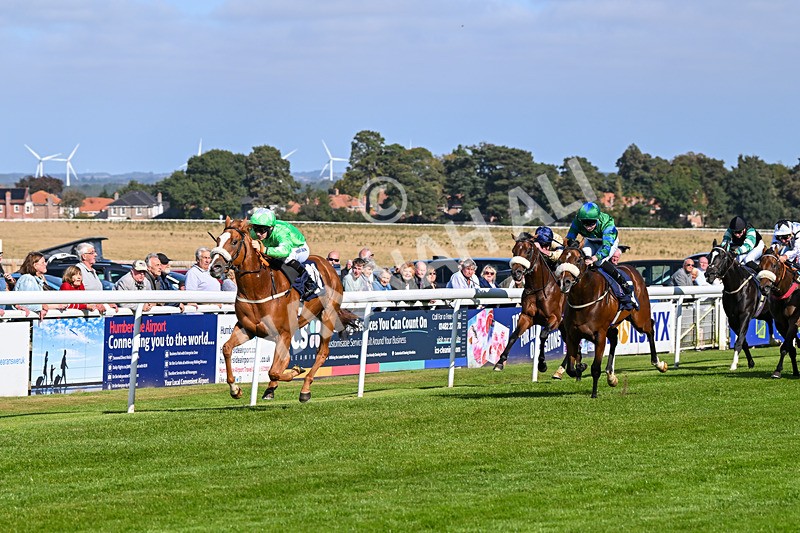 180924-Race 3-Beaujolais Nouveau-4237 - Race 3