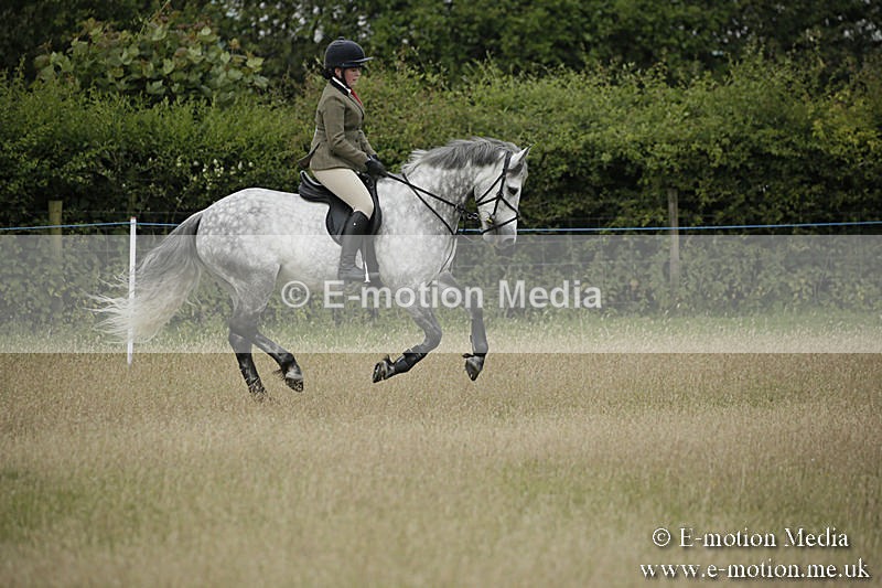 B230619-0124 - Bourne Valley Riding Club Summer Show 23/06/19