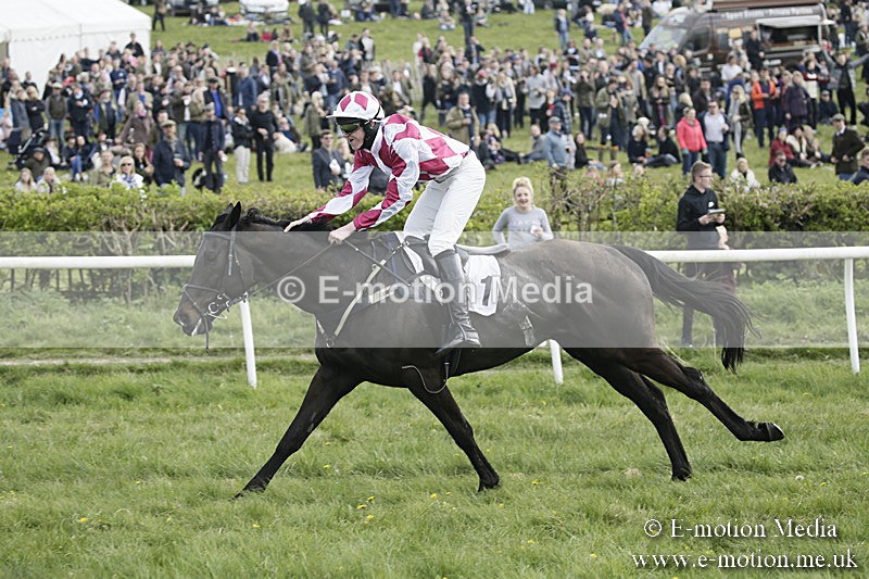PtP 170417 370 - Old Berks Point-to-Point Lockinge 17/04/17