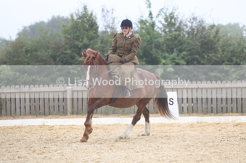 3E7A6897 - Class 5: Prelim to Music