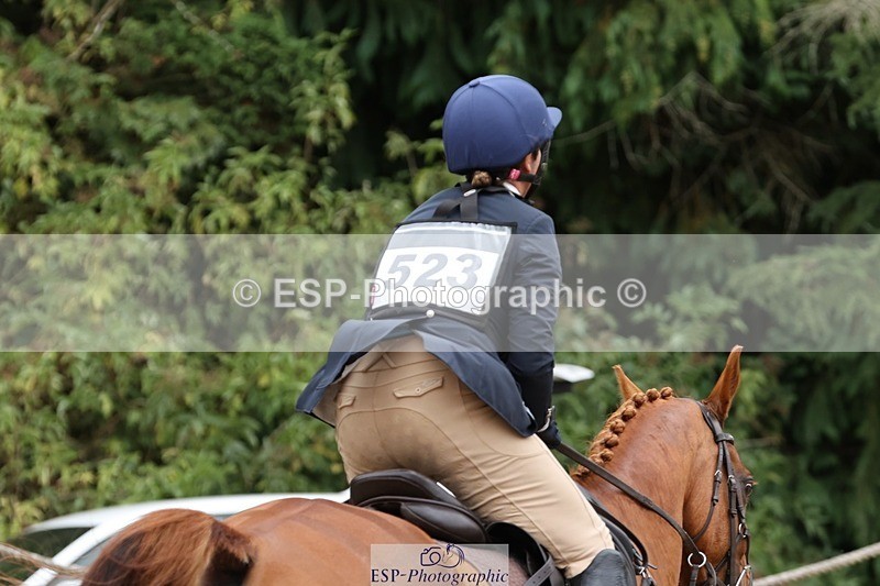 250803A-110204-10636 - L-523-Becky.Smith-DEJA.VU