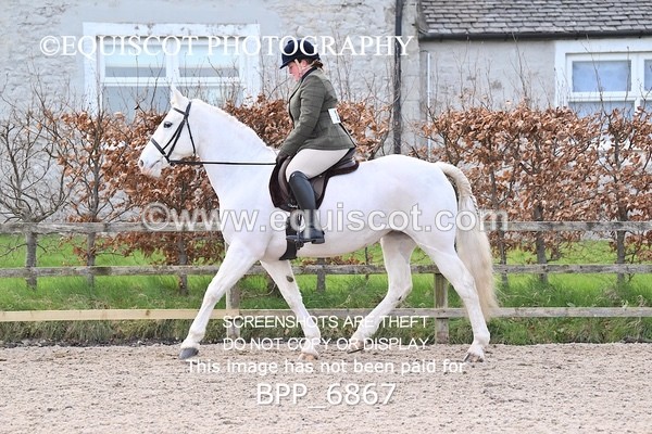 BPP_6867 - RING 1  (RIDDEN HORSES / IN HAND / VETERAN ETC)