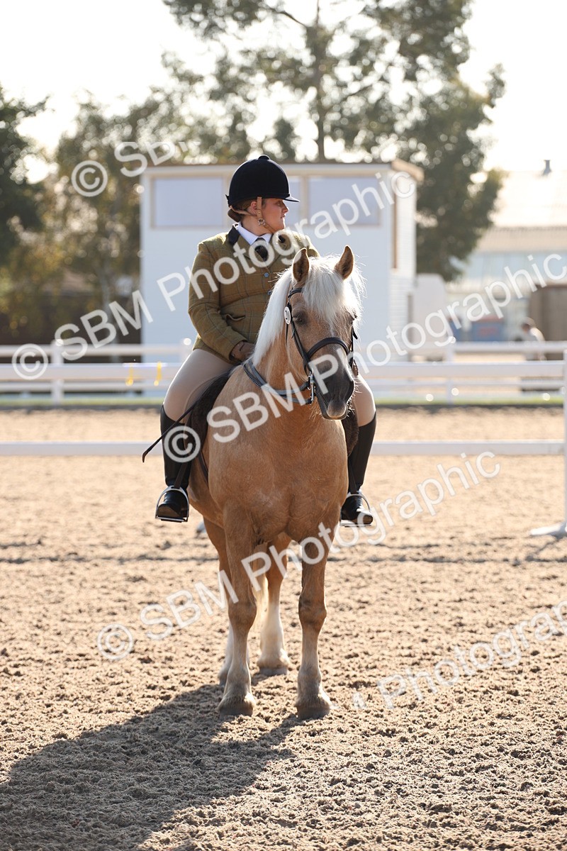 SBM_00685 - Class 14 Ridden M&M Wildcard