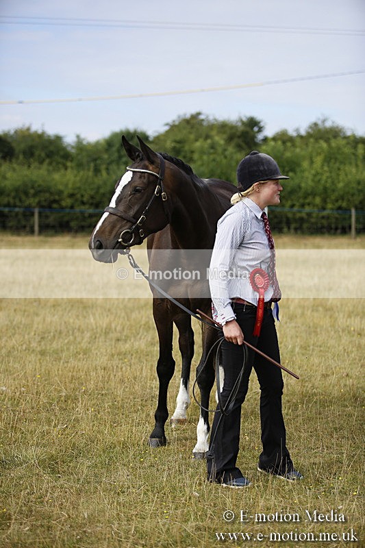 _C7A9153 - BVRC Sow 2018 Ring 2