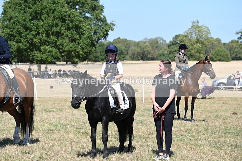 WJ6_8493 - Class 37a Best Loan Pony Ridden