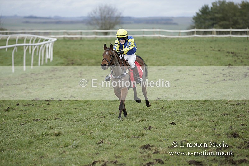 PtP 150320 0823 - New Forest Point-to-Point Larkhill 15/03/20