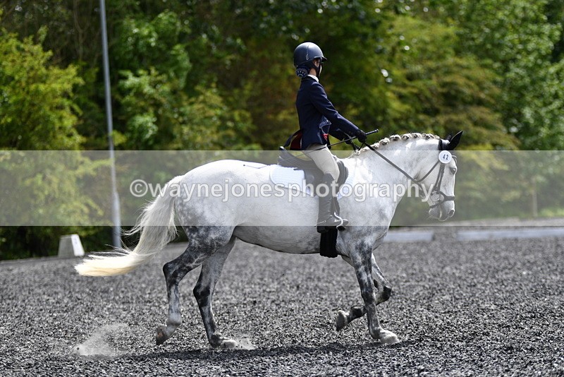 WJ5_1453 - Time 14:20 to 15:01