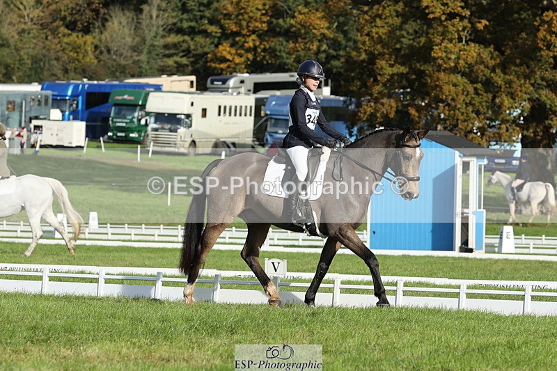 251024A-102815-07766 - D-345-Neve.Webber