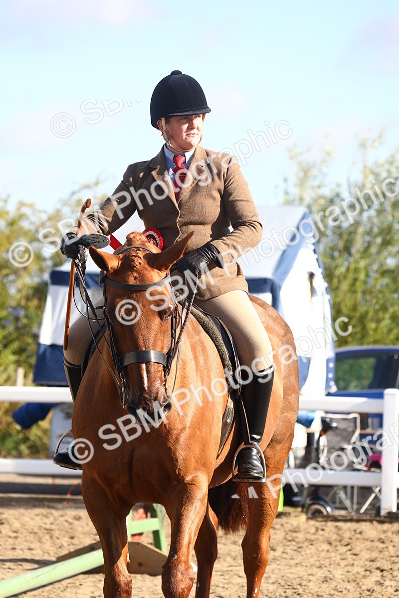 SBM_08597 - Class 502 - Riding Club Horse