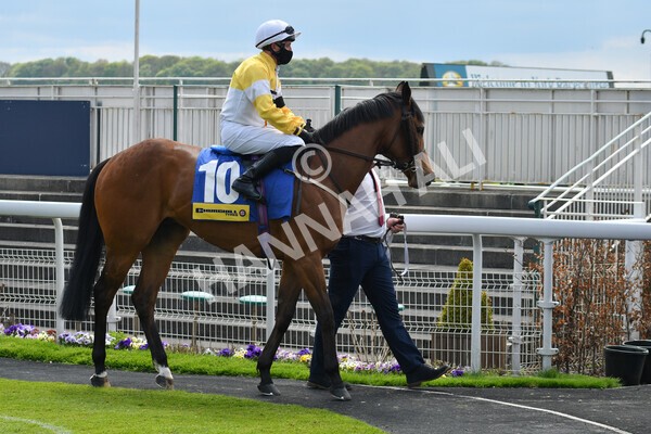 yr12052021r2-7 - Race 2 2.10pm Churchill Tyres Stakes