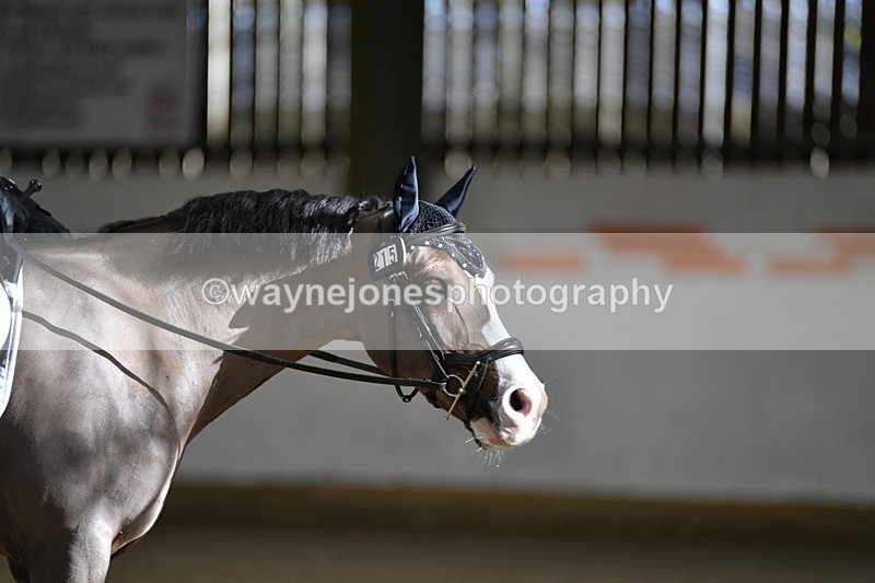 WJ5_2014 - Time 10:30 to 11:07