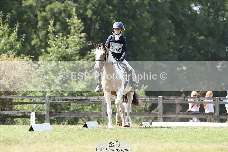 250823A-133601-31325 - Arena D