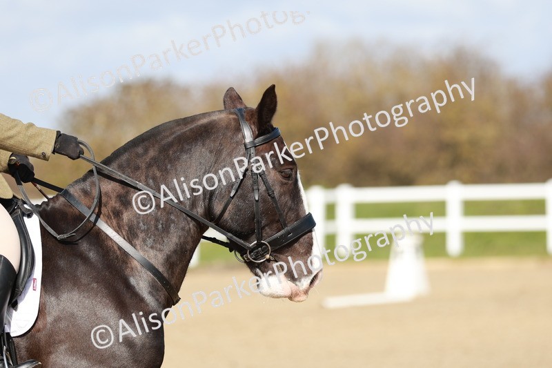 20260314-2864 - DR3 - Prelim 1