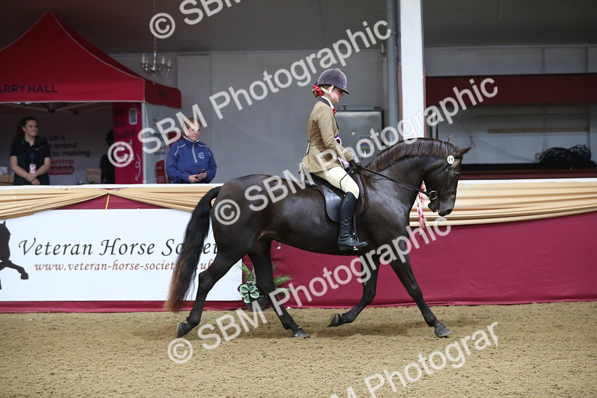 SBM_09403 - Class 101 Equitation (best rider), Junior