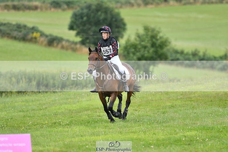 240804-145731-15183 - 557-Jodi_Cameron-WILLOWAY_HANDSOME_HARRY