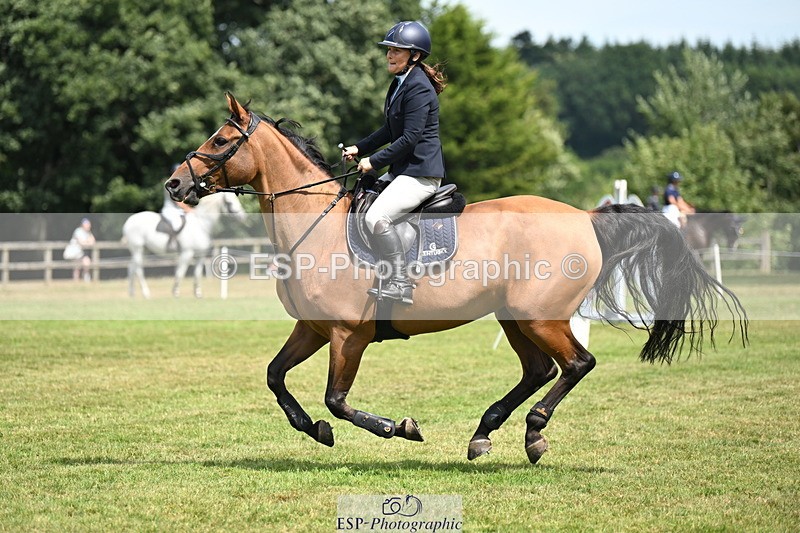 250704A-111234-07189 - Cls 25 Snr British Novice and 90cm
