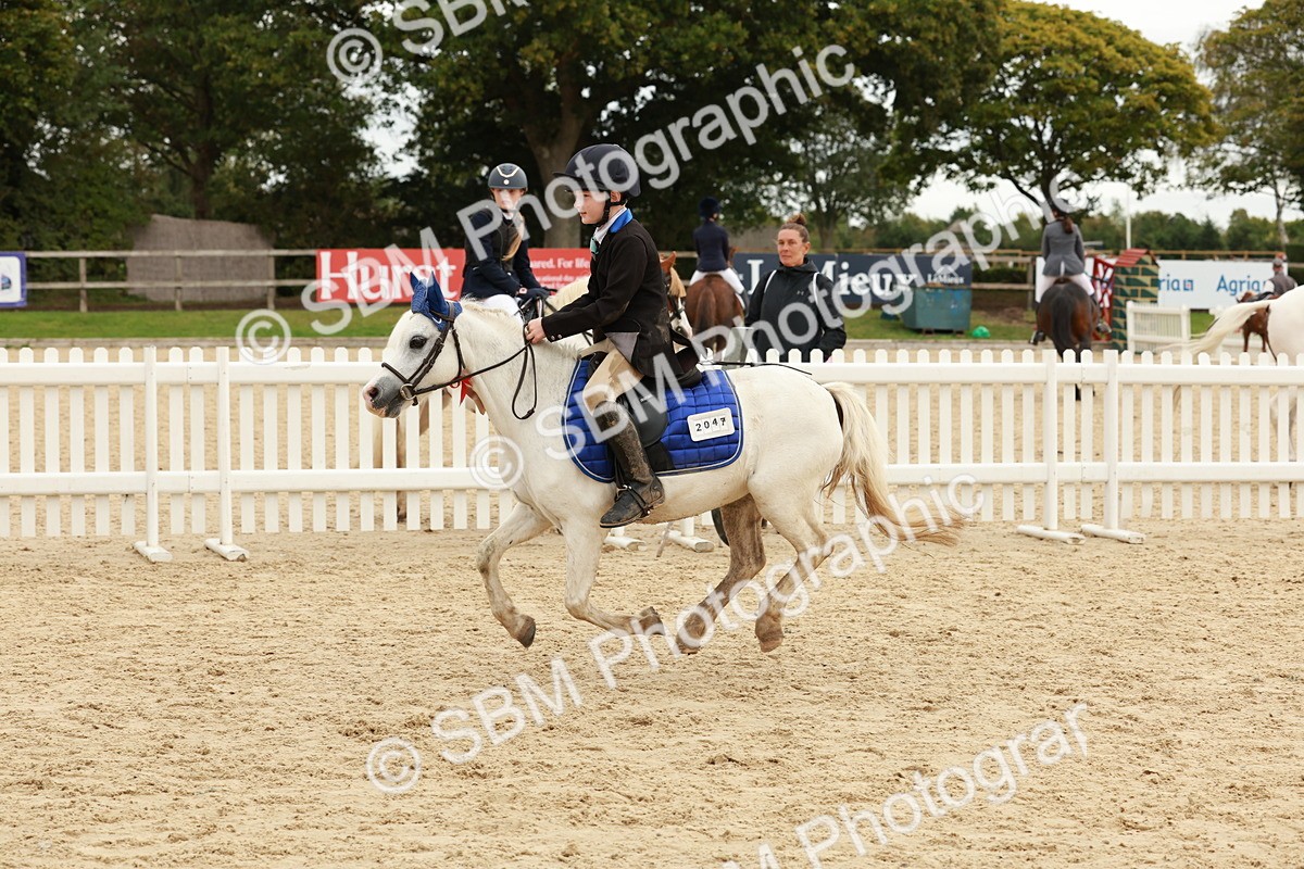 SBM_65374 - Supreme Championship 50cm & 55cm