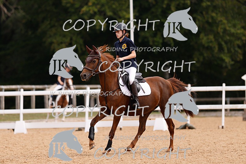 _R6A2504 - Dressage Morning