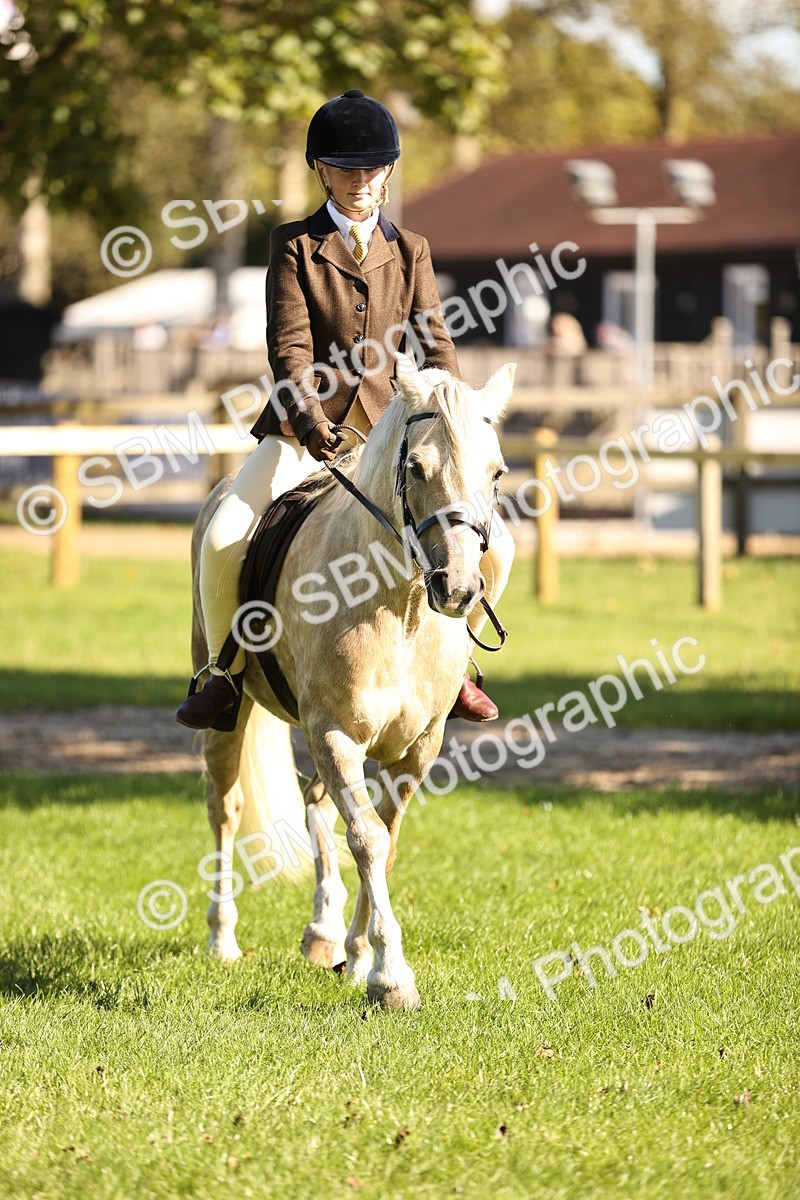 SBM_19133 - S3 - TSR Ridden Pony Showing