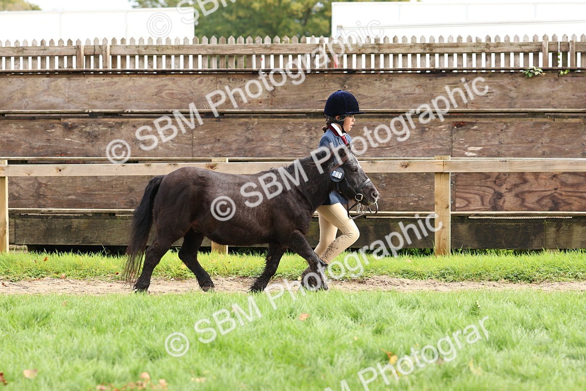 SBM_40727 - S25 -  Veteran In Hand