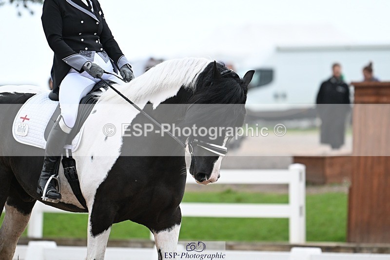 250907-141023-09184 - 014-Katrina.EllisSilverstor.IV