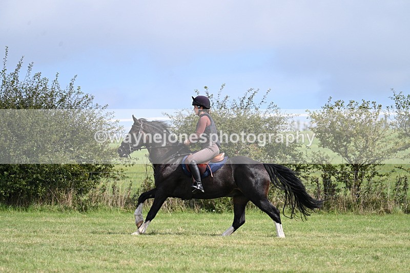 WJ7_6199 - Time 11:29 to 11:45