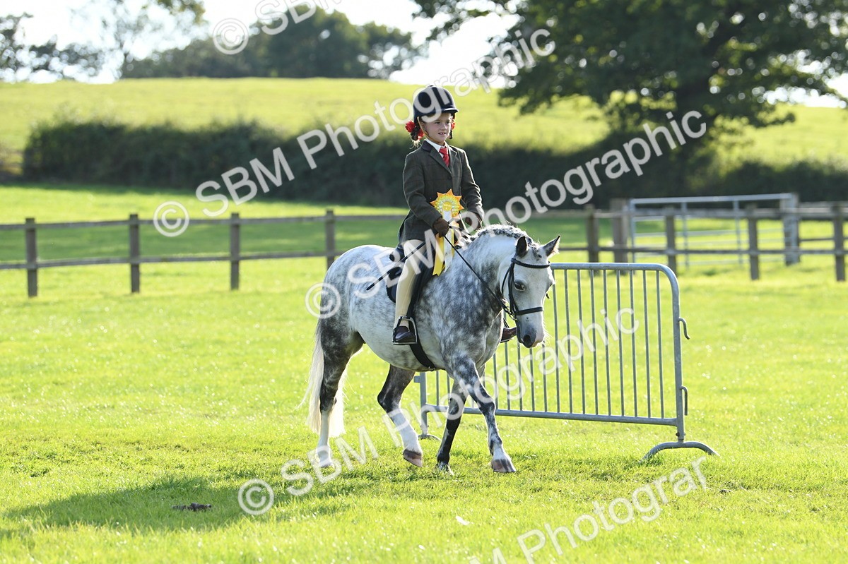 SBM_52472 - S22 - 1st Ridden Show & Show Hunter Pony