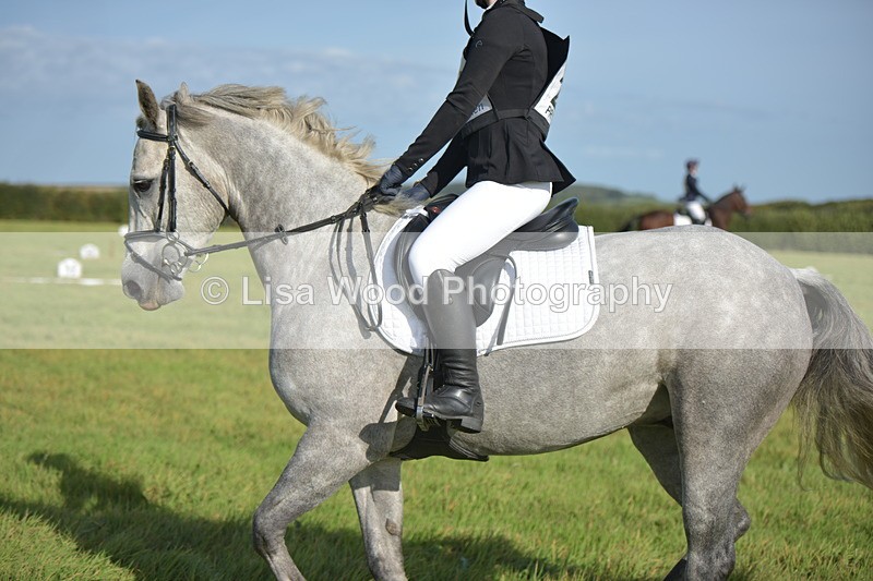 RAY_7402 - Class 2B: Trekenning Open: Dressage