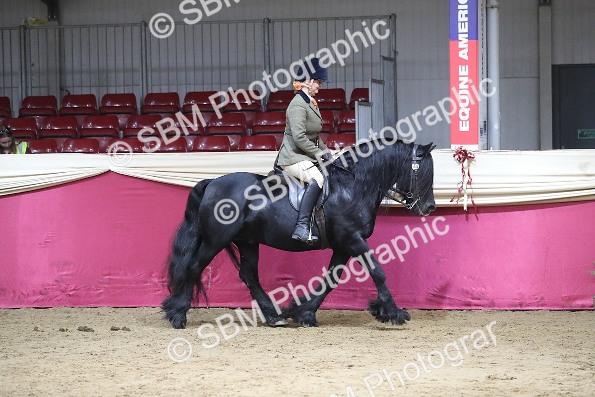 SBM_08488 - Class 11R Regional Ridden Veteran