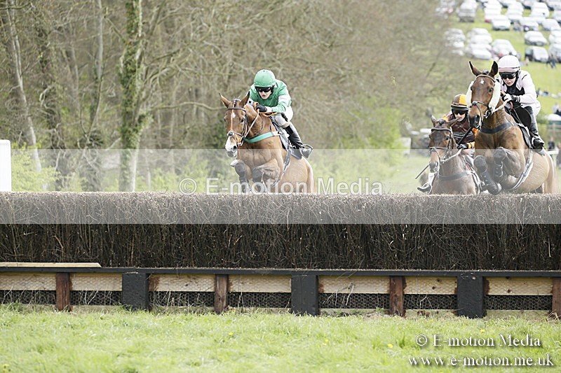 PtP 170417 164 - Old Berks Point-to-Point Lockinge 17/04/17