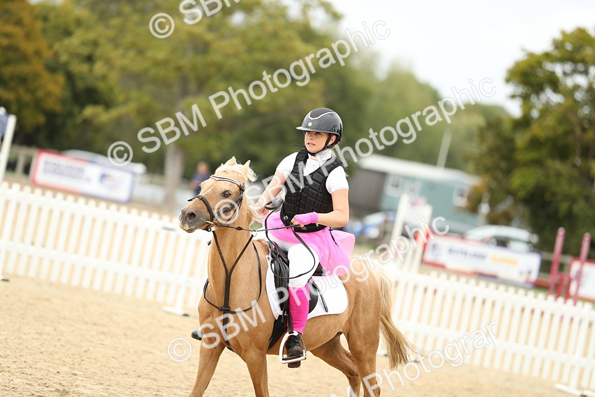 SBM_65788 - J48 - Pairs Jumping Open 70cm & 85cm