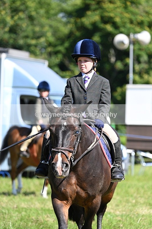 WJ7_0719 - Class 8 First Rally Pony