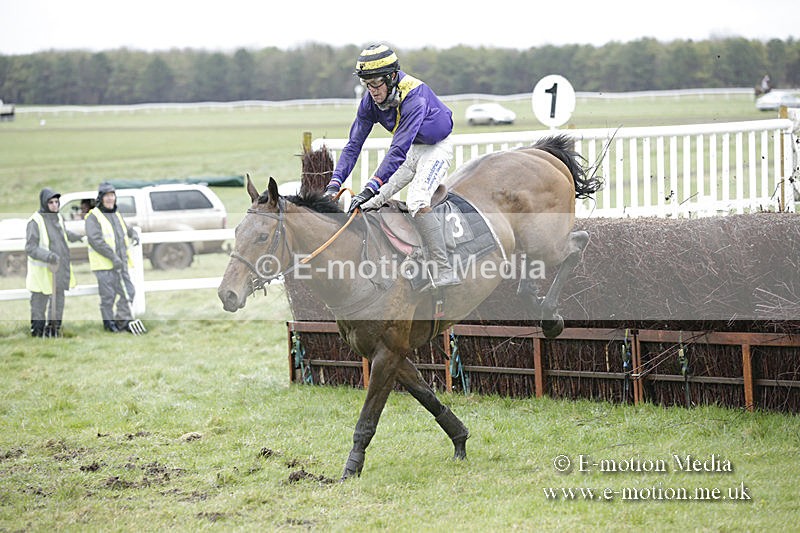 PtP 150320 0241 - New Forest Point-to-Point Larkhill 15/03/20